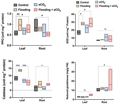 Microbiome structure variation and soybean’s defense responses during flooding stress and elevated CO2